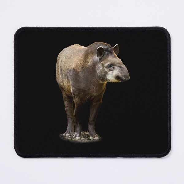 Item preview, Tapir designed and sold by Guardi71.