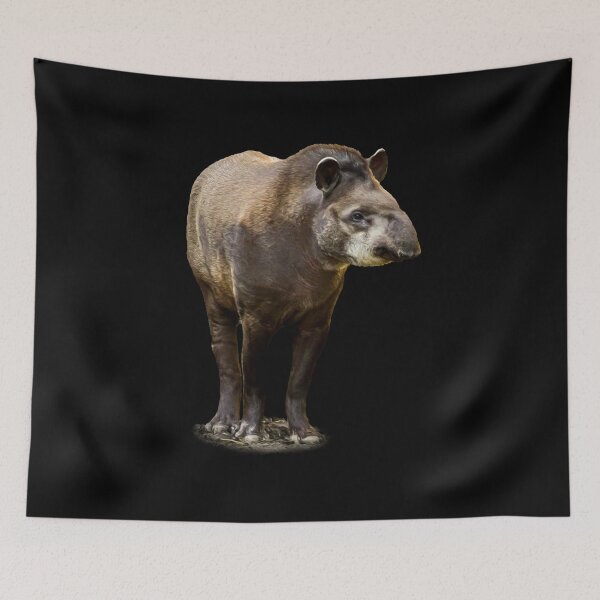 Item preview, Tapir designed and sold by Guardi71.