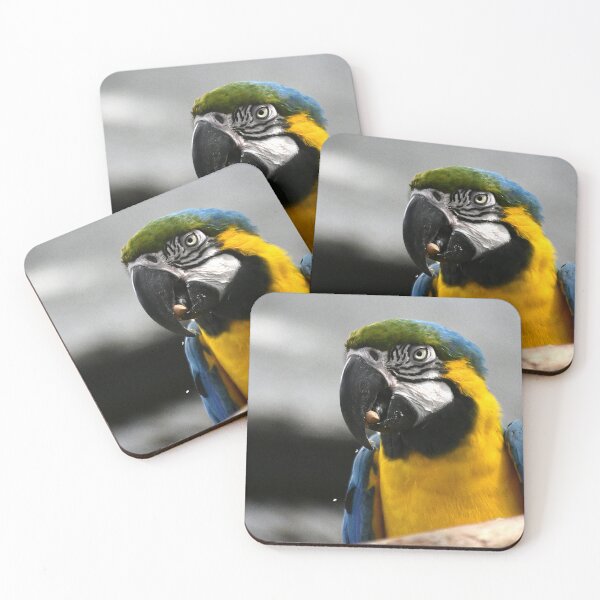 Item preview, Blue-and-Yellow Macaw designed and sold by MercerImages.
