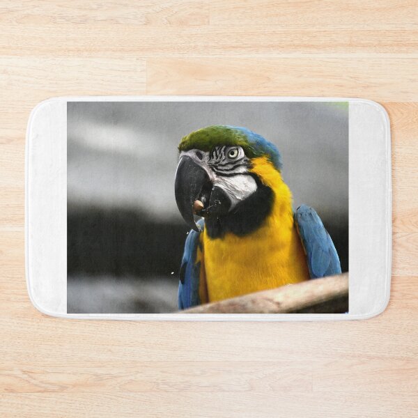 Item preview, Blue-and-Yellow Macaw designed and sold by MercerImages.