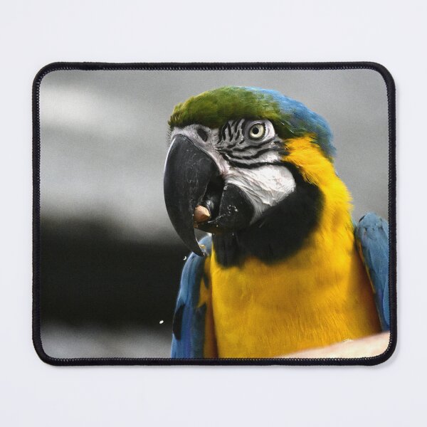 Item preview, Blue-and-Yellow Macaw designed and sold by MercerImages.