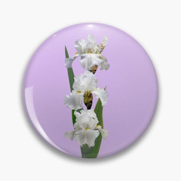 Item preview, Immortality Bearded Iris designed and sold by Anthony Seeker.