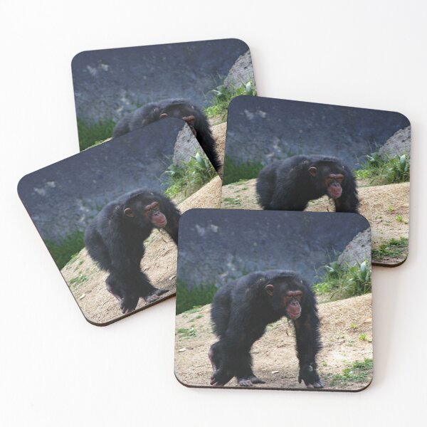 Item preview, Los Angeles Zoo designed and sold by supernova23.