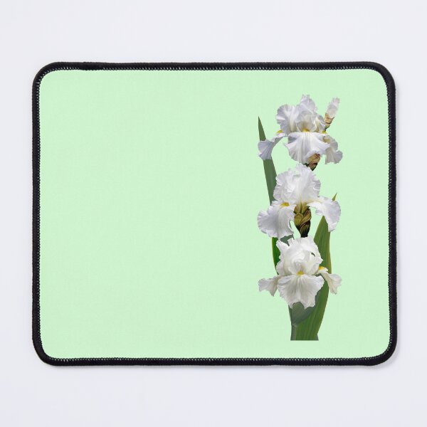 Item preview, Immortality Bearded Iris designed and sold by Anthony Seeker.