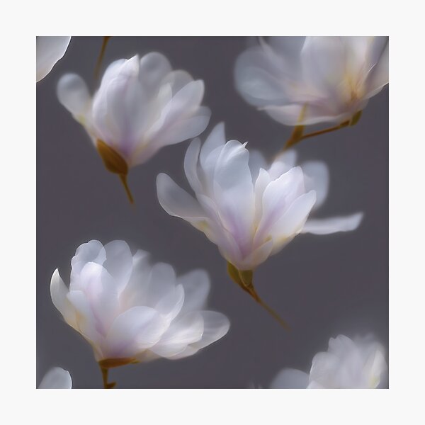 Item preview, Soft Focus Magnolia Bloom Pattern designed and sold by patternicco.