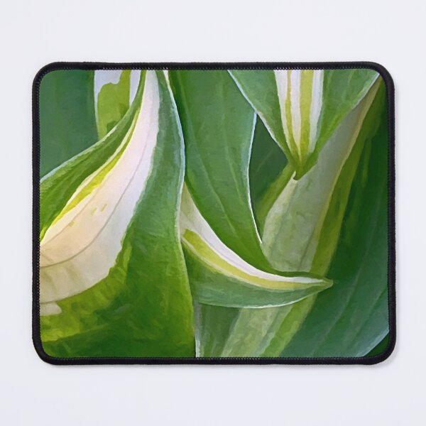 Item preview, Dancing Hostas designed and sold by Kathilee.