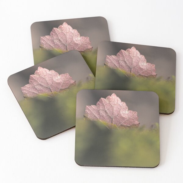 Item preview, Crunchy designed and sold by mfsphotographs.