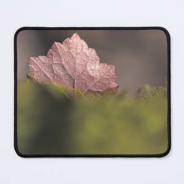 Item preview, Crunchy designed and sold by mfsphotographs.