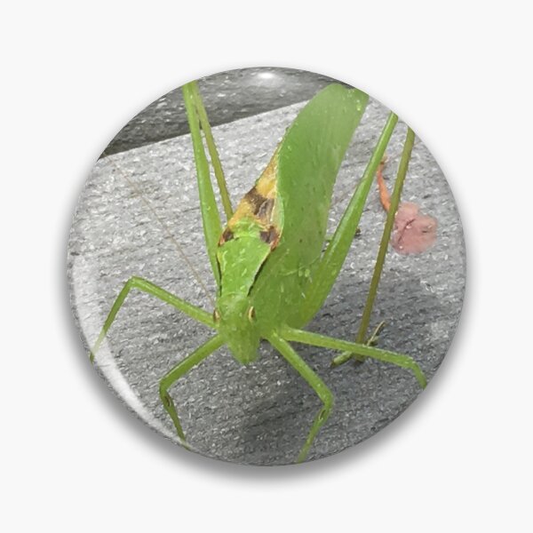 Item preview, grasshopper designed and sold by chickflickcomfort.
