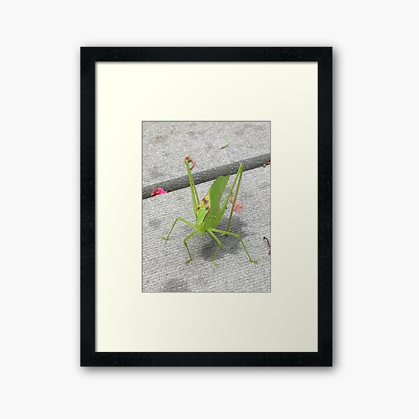 Item preview, grasshopper designed and sold by chickflickcomfort.