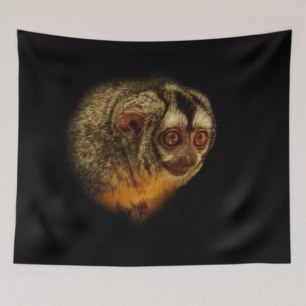 Item preview, Night Monkey designed and sold by Guardi71.