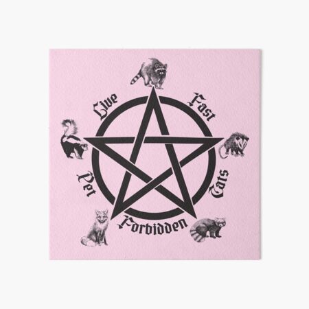 Live Fast Pet Forbidden Cats Art Board Print