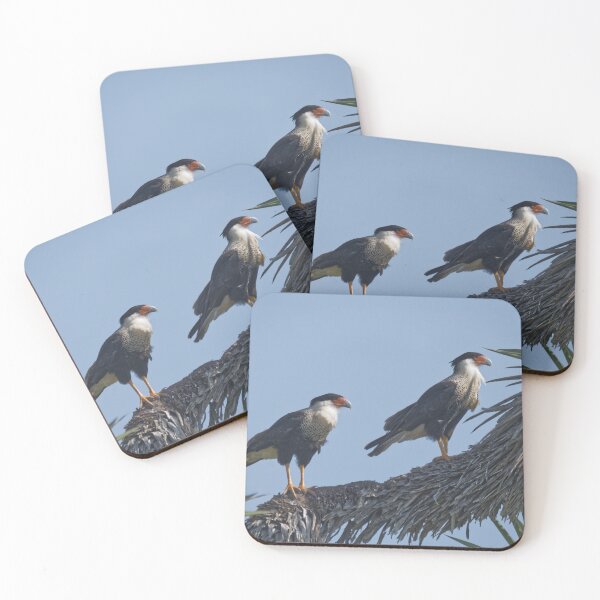 Item preview, Crested Caracara designed and sold by EnglandEcology.