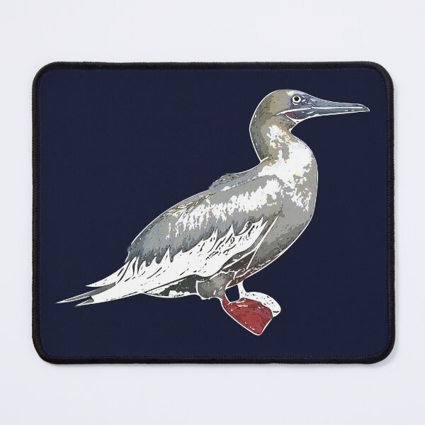 Item preview, Red-footed Booby White Alternate Design  designed and sold by designsasstultd.