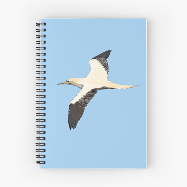 Item preview, Red-footed Booby Flying Color Design  designed and sold by designsasstultd.