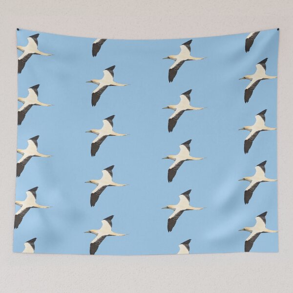 Item preview, Red-footed Booby Flying Color Design  designed and sold by designsasstultd.