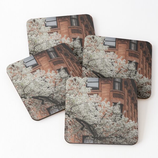 Item preview, Upper West Side Blooms designed and sold by ashleybravickphoto.