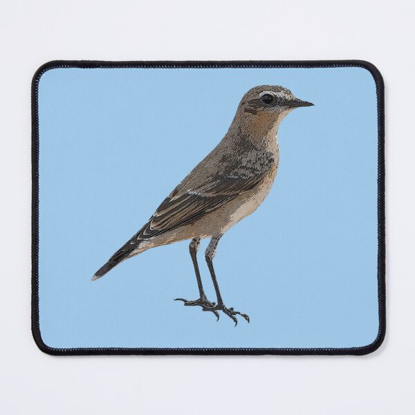 Item preview, Northern Wheatear Color Design  designed and sold by designsasstultd.