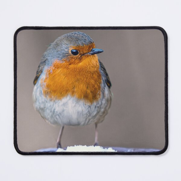 Item preview, The Robin designed and sold by Tom McPherson Photography.