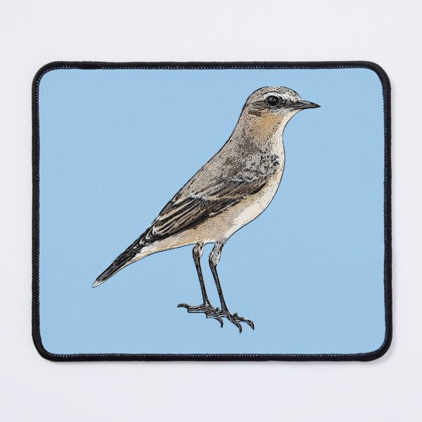 Item preview, Northern Wheatear Black Alternate Design  designed and sold by designsasstultd.
