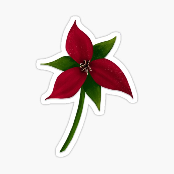 Artikel-Vorschau von Botanische Illustration des roten Trilliums, designt und verkauft von Peleegirl.