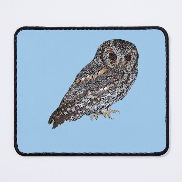 Item preview, Flammulated Owl Color Design designed and sold by designsasstultd.