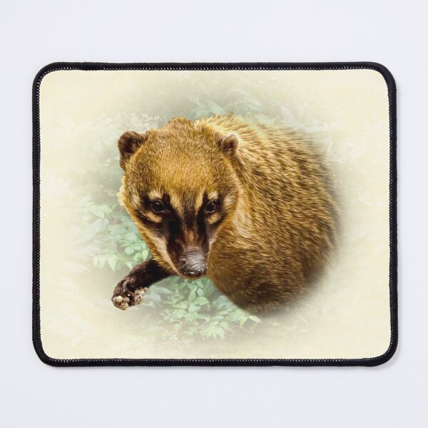 Item preview, Coati designed and sold by Guardi71.