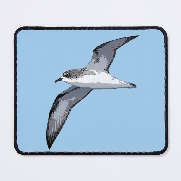 Item preview, Cook’s Petrel Color Design  designed and sold by designsasstultd.