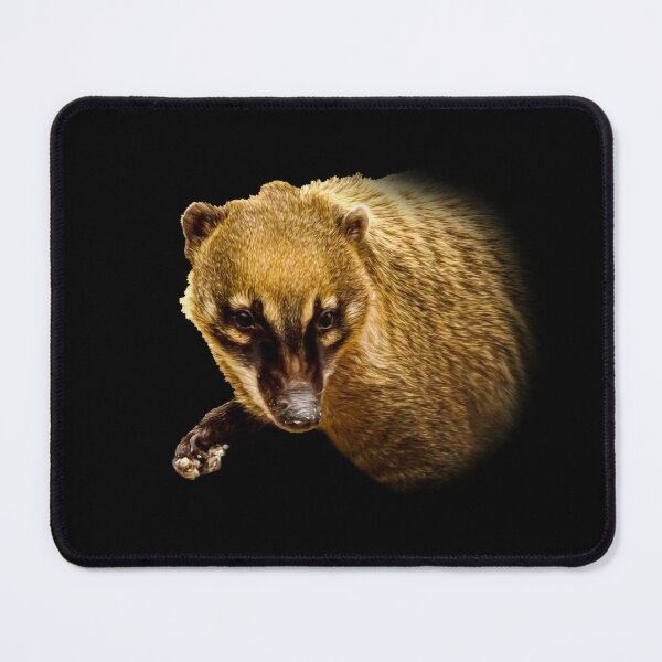 Item preview, Coati designed and sold by Guardi71.