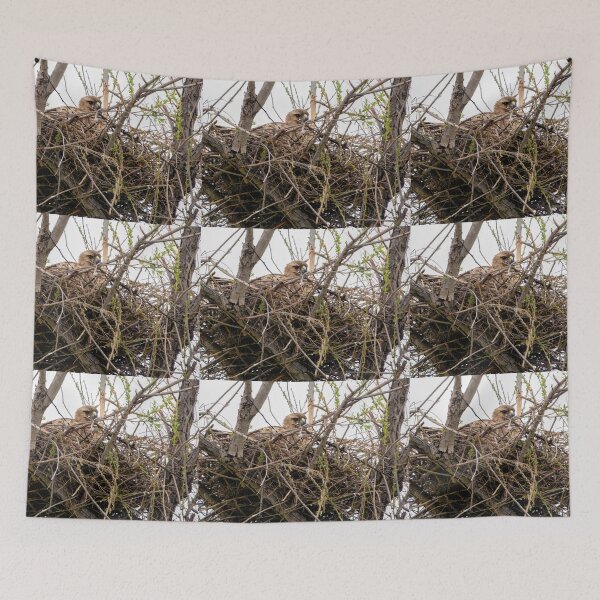 Item preview, Hawk In Nest designed and sold by CarolM.