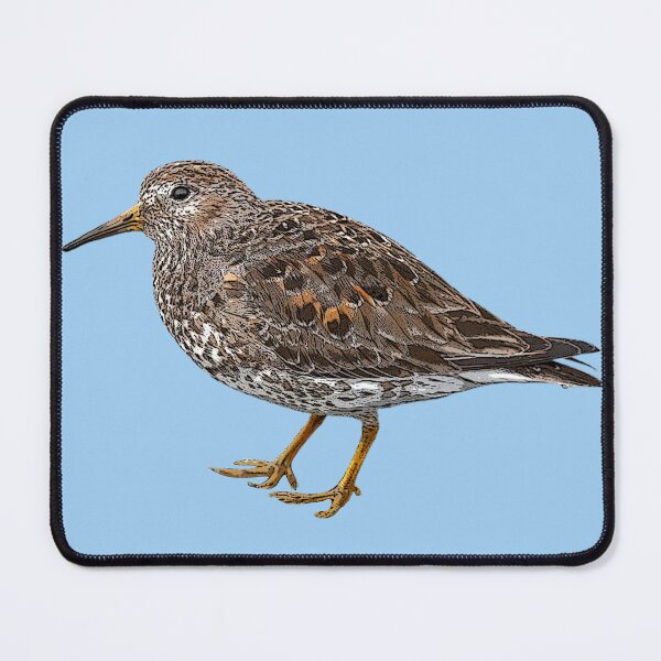 Item preview, Rock Sandpiper Color Design  designed and sold by designsasstultd.