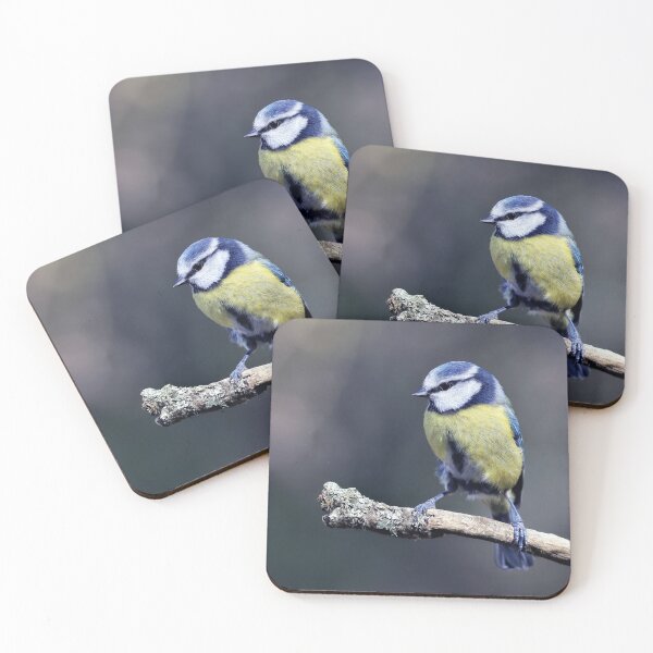 Item preview, The Eurasian blue tit designed and sold by Tom McPherson Photography.