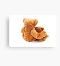 Protection Canvas Print