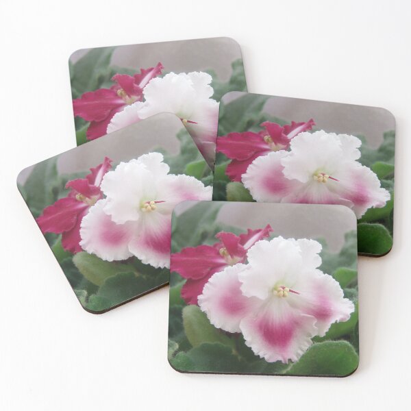 Item preview, Red and White African Violet Close-Up designed and sold by inspiration3.