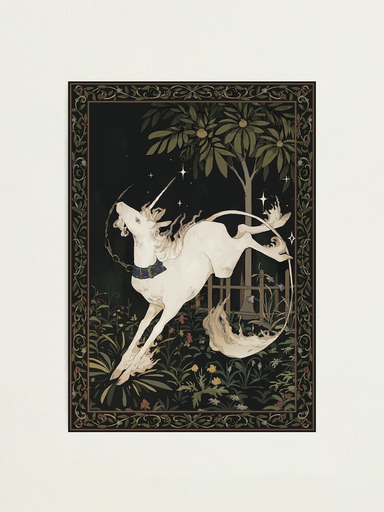 unicorn out of captivity Photographic Print