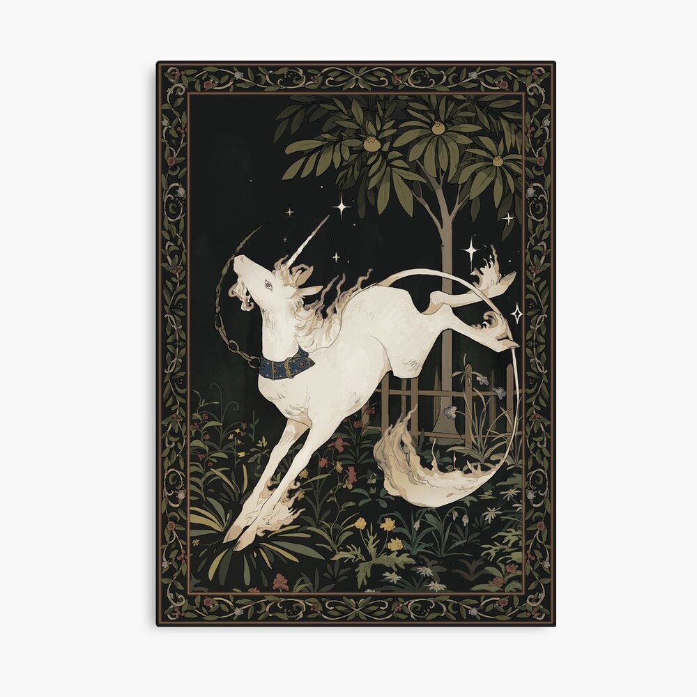 unicorn out of captivity Photographic Print