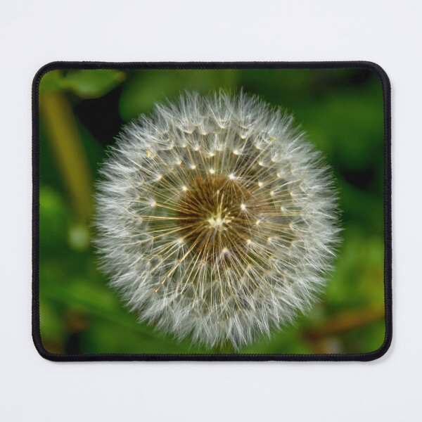 Item preview, Sparkling Dandelion designed and sold by Debra Martz.