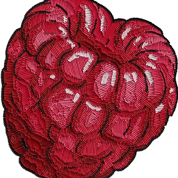 Artwork thumbnail, Embroidered Raspberry by j-eka