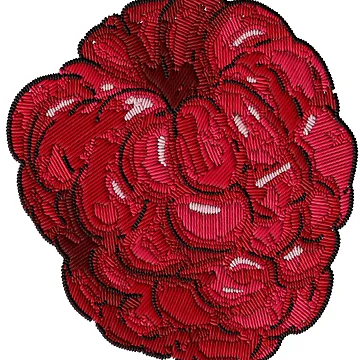 Artwork thumbnail, Embroidered Raspberry by j-eka