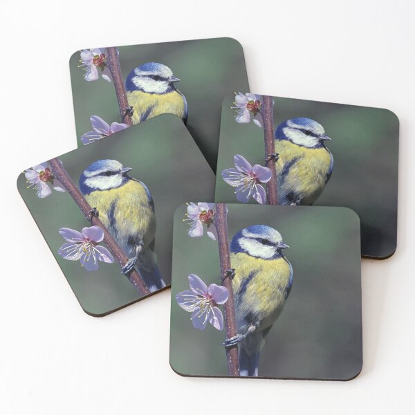 Item preview, Eurasian blue tit designed and sold by Tom McPherson Photography.