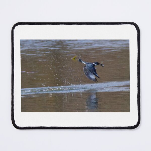 Item preview, Kingfishers Catch designed and sold by BirdsBugsBeyond.