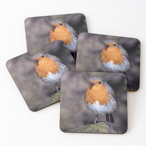 Item preview, Robin designed and sold by Tom McPherson Photography.
