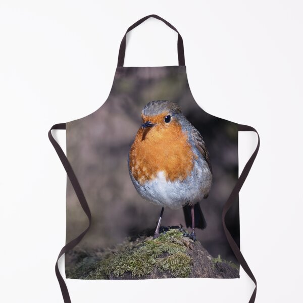 Item preview, Robin designed and sold by Tom McPherson Photography.