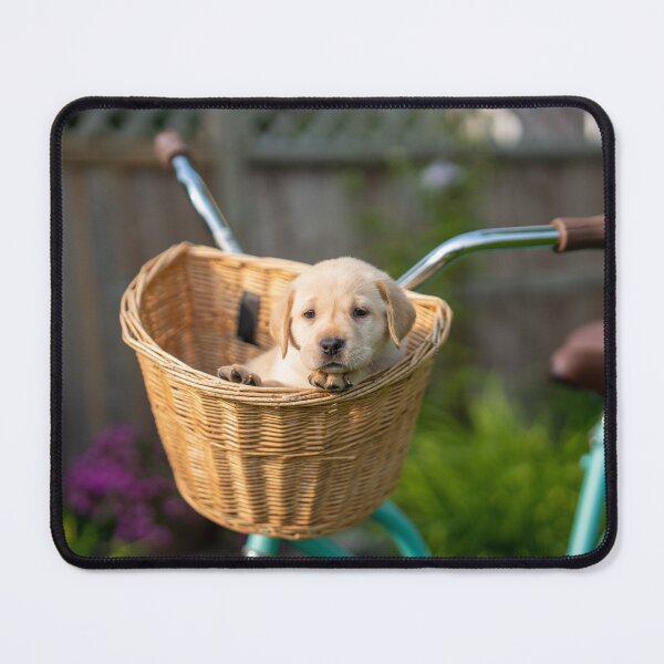 Item preview, puppy bike designed and sold by Natashacolling.