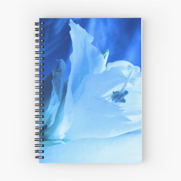 Item preview, Amaryllis No 25 designed and sold by ArtOfE.
