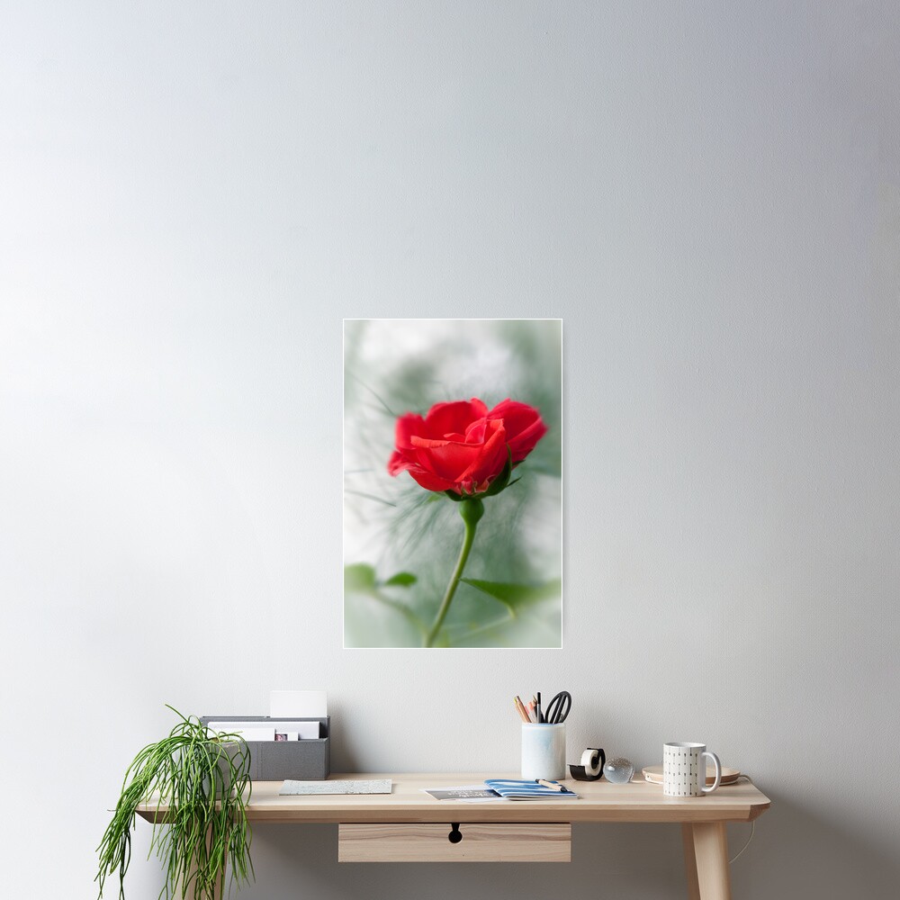 Wild Roses of the Gulf Islands Poster