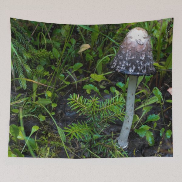 Item preview, Wild Mushroom designed and sold by BirdyBirdy8.