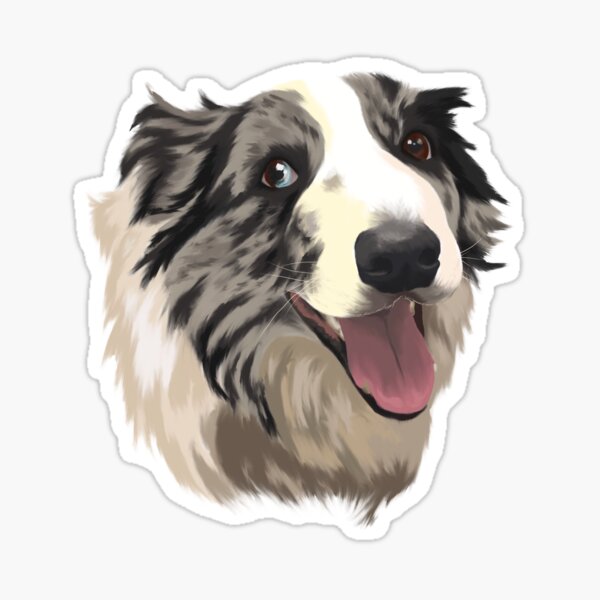 Item preview, Woody the Blue Merle Border Collie designed and sold by AnkersArt.