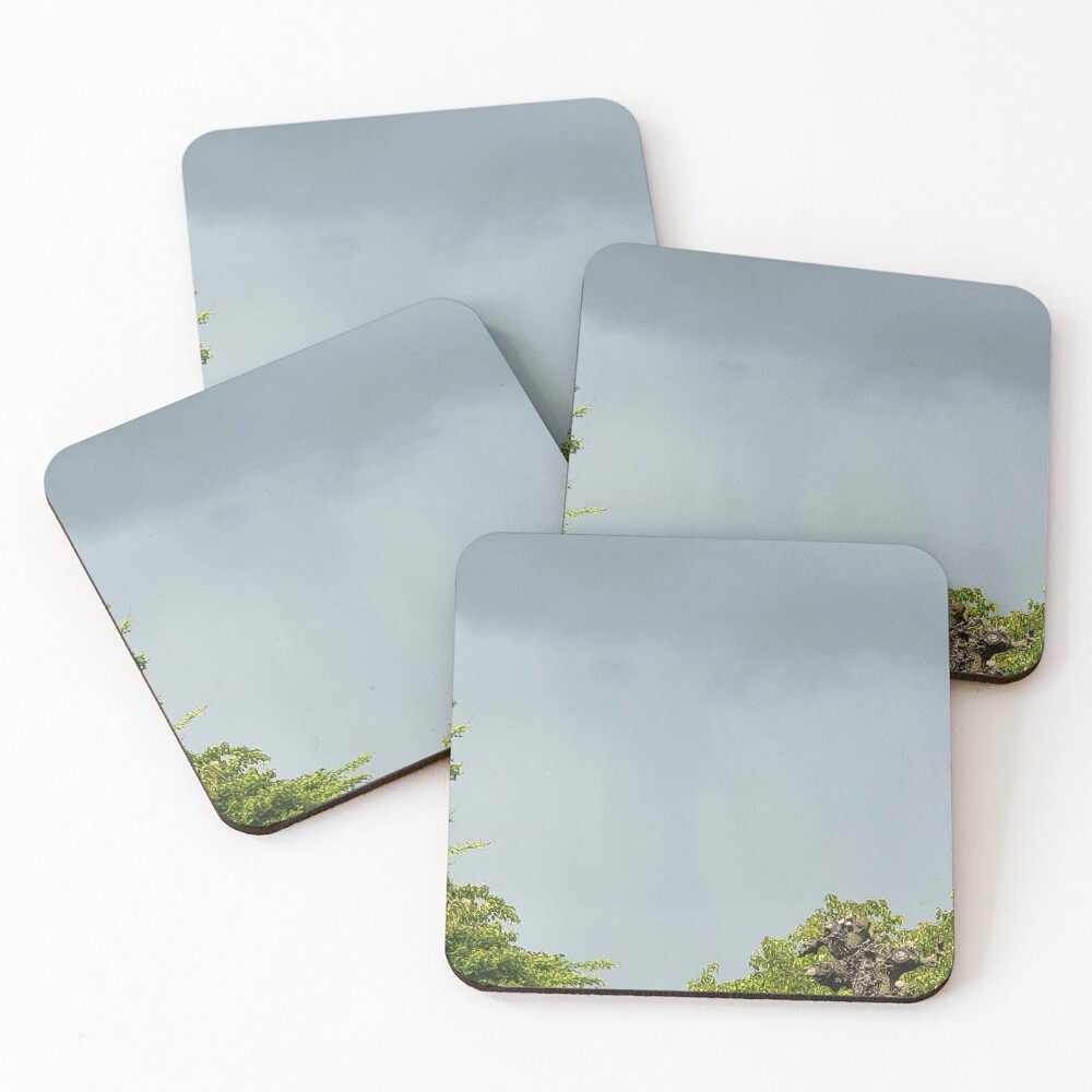 Item preview, Coasters (Set of 4) designed and sold by srcloudsplus.