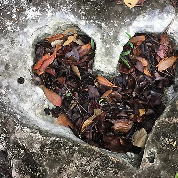 Artwork thumbnail, Rooted Heart by RDLT